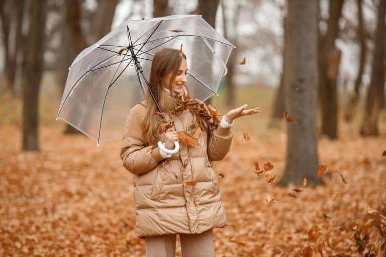 parapluie transparent