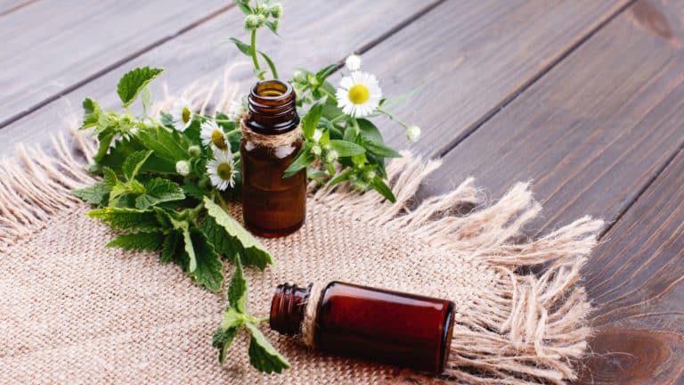 Les huiles essentielles : des incontournables du quotidien