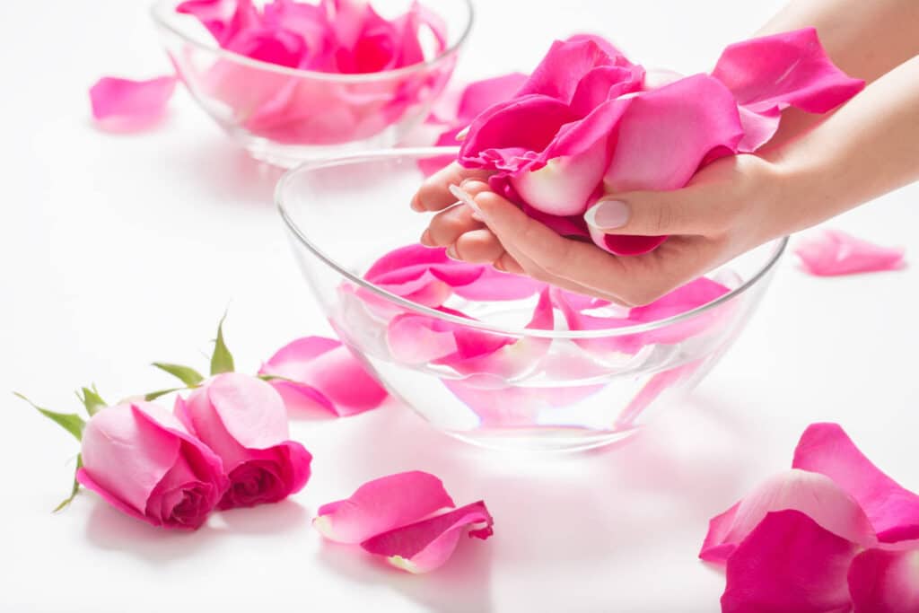 retour utilisateurs rose damas